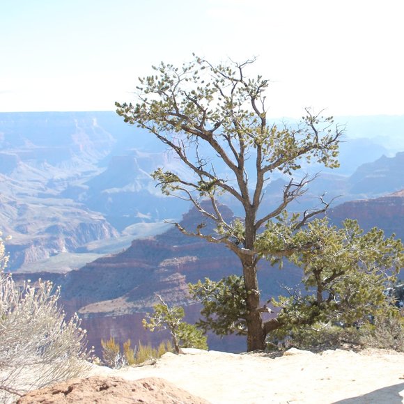 Meet your Posher - Picture 1 of 1